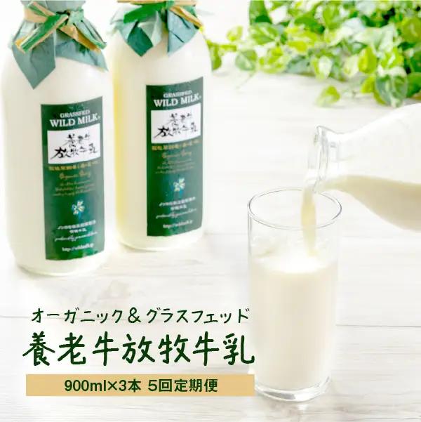 【定期便：全5回】オーガニック＆グラスフェッド養老牛放牧牛乳900ml×3本【13002BB0501】