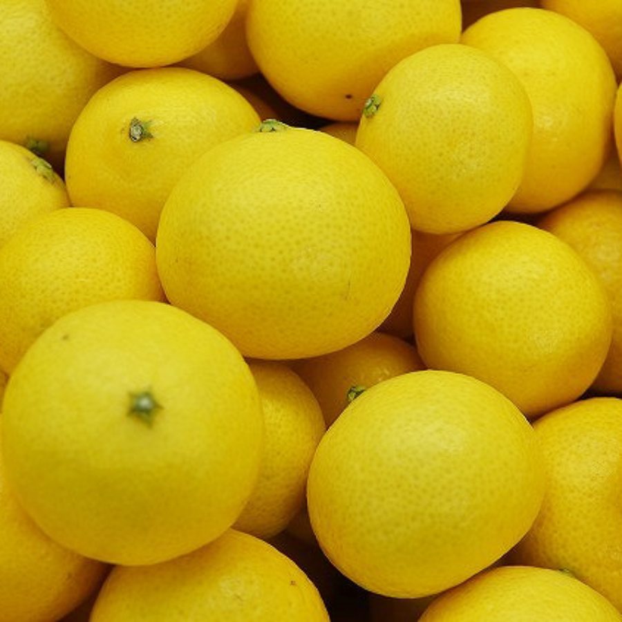 ハウス湘南ゴールド