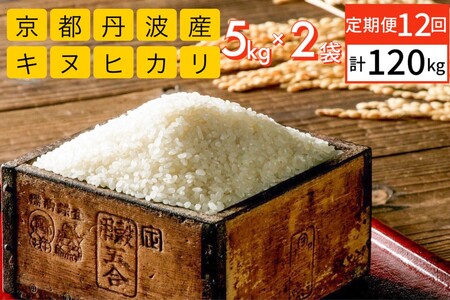 【緊急支援品】京都丹波・亀岡産 キヌヒカリ 12ヶ月定期便 計120kg［10kg（5kg×2袋）×12回］