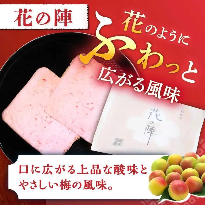 【3回定期便】夢本陣 40枚（20枚×2種） /恵比須堂 [UBQ018] 煎餅 せんべい