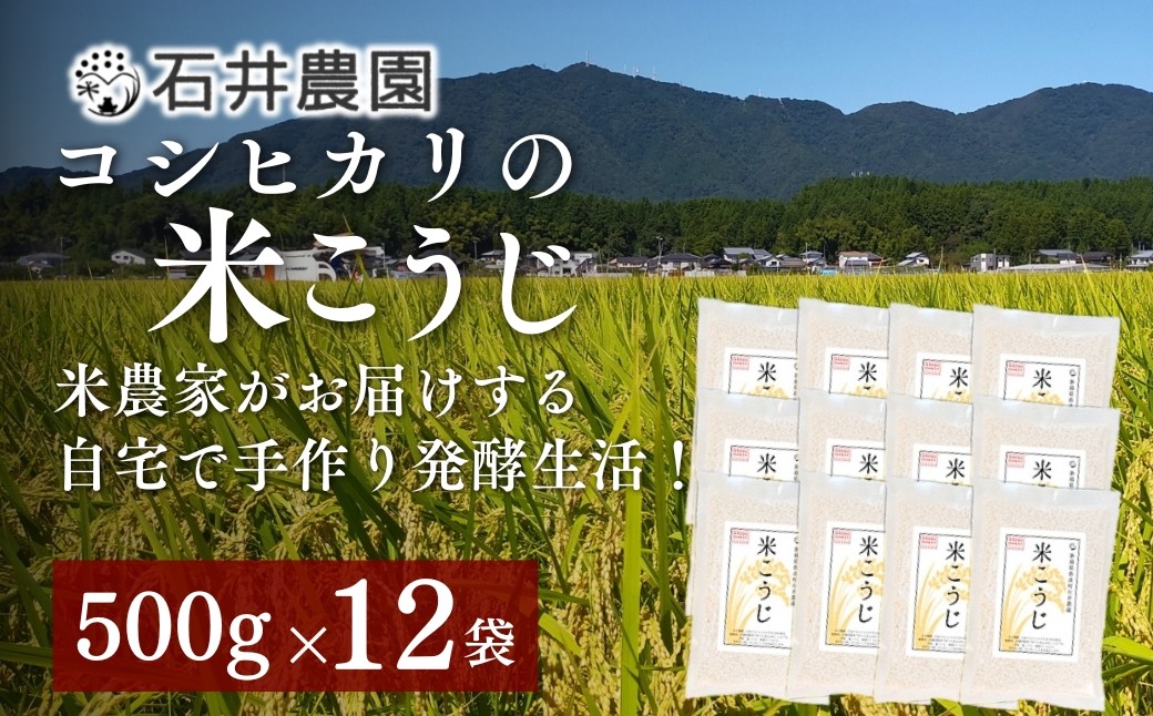 
                  ＜乾燥米こうじ 500g×12袋＞新潟県弥彦村 石井農園 新潟県認証特別栽培米 コシヒカリ使用 | こしひかり 新潟県 弥彦村
                