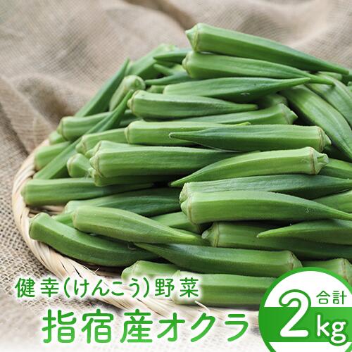 【ふるさと納税】指宿(いぶすき)産 オクラ(2kg) オクラ おくら 野菜 夏野菜 旬 特産 夏 新鮮 鹿児島県【オネファーム】