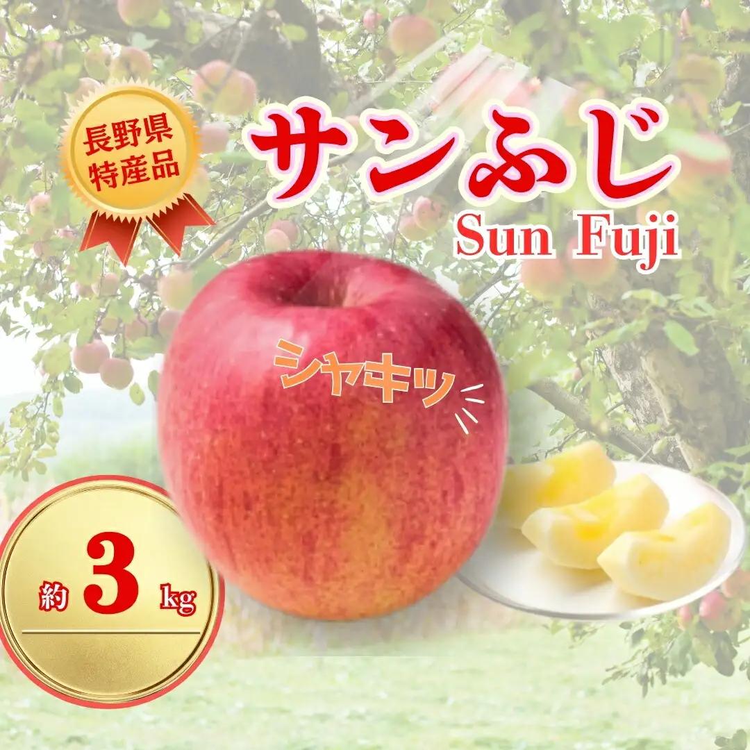 【2026年先行予約】サンふじ 約3kg| りんご