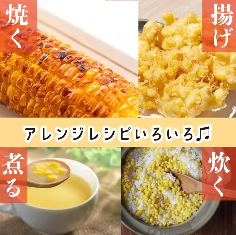 【とうもろこし 5本 】11月発送  ドルチェドリーム  静岡 県 牧之原市 t.p.C farm 堀内農園 