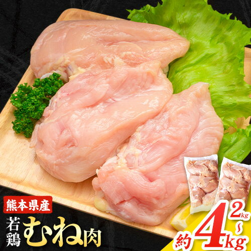 【ふるさと納税】＼内容量が選べる！／大容量 鶏肉 熊本県産 若鶏むね肉 内容量選べる 2kg または 4kg《30日以内に出荷予定(土日祝除く)》 　モモ肉 モモ 若鶏モモ 鶏モモ ムネ 鶏ムネ ムネ肉 若鶏ムネ