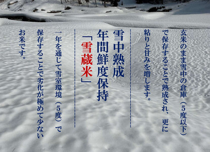 【令和7年産新米予約】【定期便】とやの里山越光農園「天水棚田米」南魚沼塩沢産コシヒカリ　精米5kgx全6回【2025年12月下旬より順次発送予定】
