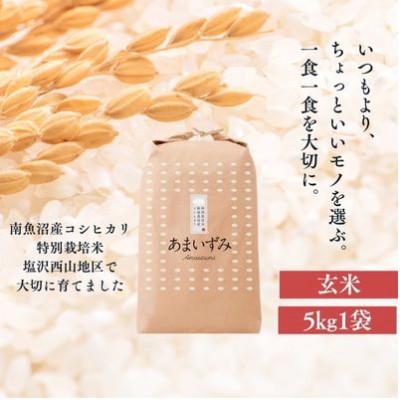 ふるさと納税 南魚沼市 【令和8年産新米先行予約】南魚沼産コシヒカリ あまいずみ 玄米5kg 特別栽培米