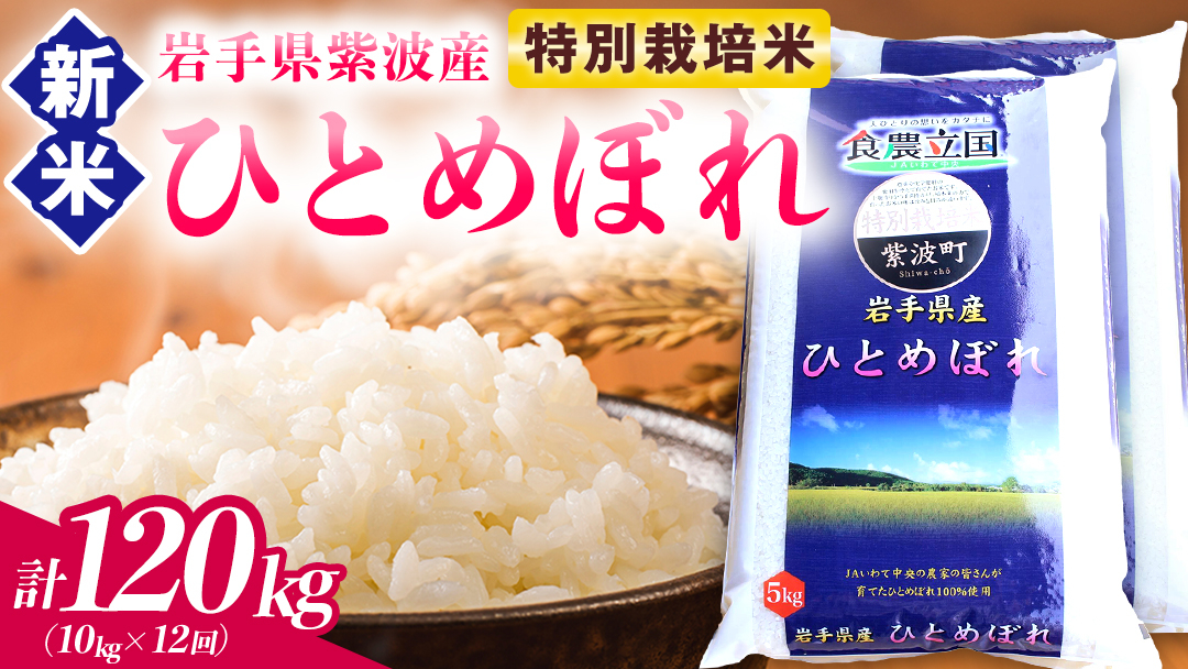 【 新米 】【12回定期便】お米 10kg (5kg×2) ( 総計120kg ) 白米 ひとめぼれ 特別栽培米 ★令和8年産★ 精米 米 おこめ ご飯 令和8年 特別栽培 仕送り お弁当  5キロ 