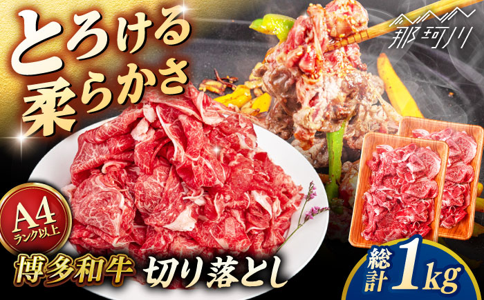 
            【A4〜A5 等級】博多和牛 切り落とし 1kg (500gｘ2P) ＜ヒサダヤフーズ＞那珂川市 [GFY023]
          