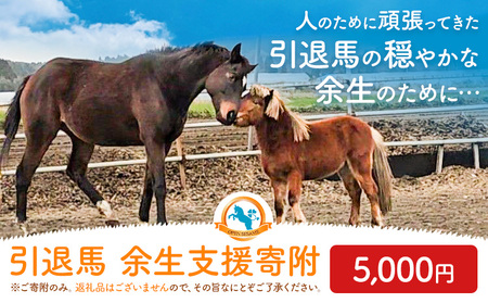 【返礼品なし】引退馬余生支援寄附 5,000円 一般社団法人オープンセサミアライブ 熊本県 南阿蘇村 馬 ウマ 支援 競走馬 引退馬 生活支援 動物愛護 保護 返礼品なし 寄附 牧場 オープンセサミ アニマルサンクチュアリ