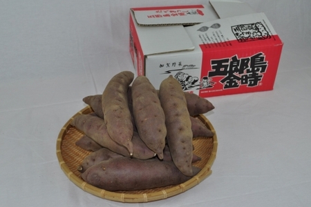 JA金沢市 加賀野菜　五郎島金時 秀品・5kg