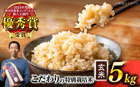【令和7年度】 くまさんの輝き 玄米 5kg (1袋) 玄米[AYCC020]
