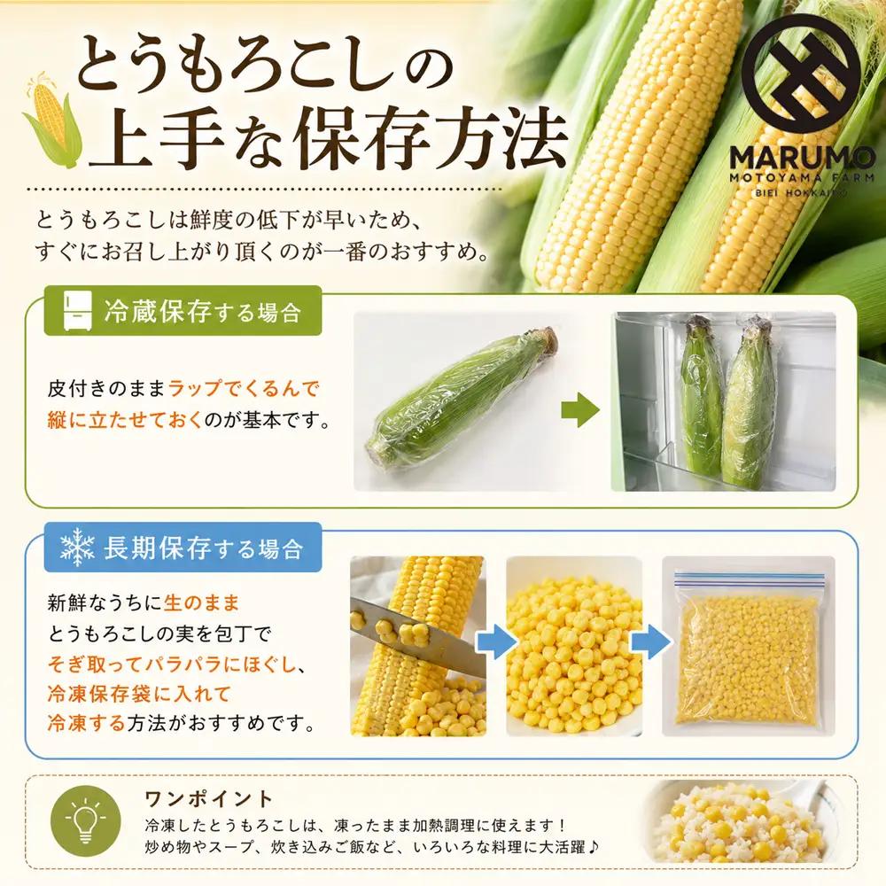 【令和8年産予約受付】とうもろこし ドルチェドリーム 20本 MARUMOスイートコーン 本山農場