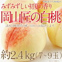 【ふるさと納税】もも 2025年 先行予約 岡山匠の白桃 約2.4kg 7～9玉 犬塚農園 岡山県産 清水白桃 桃 モモ ギフト 初夏 みずみずしい　倉敷市　お届け：2025年6月25日～2025年7月31日