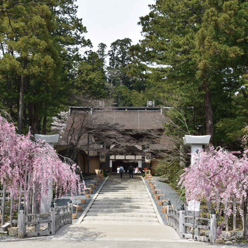 ＜世界遺産高野山＞ 宿坊 宿泊割引チケット 6,000円分   EA002_イメージ5