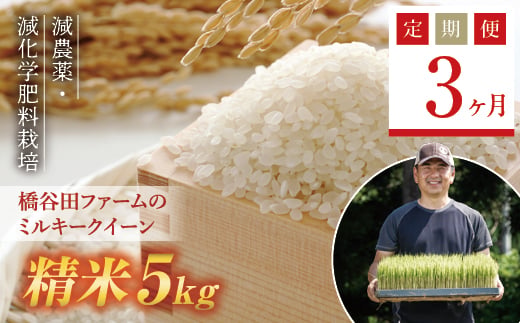 《定期便3ヶ月》【先行予約】令和8年産米 減農薬・減化学肥料栽培 西会津産米 ミルキークイーン 精米 5kg 米 お米 おこめ ご飯 ごはん 福島県 西会津町 F4D-2246