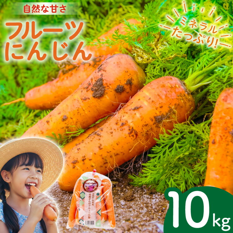 【ふるさと納税】 AJ464 【令和9年出荷分】 にんじん 宮崎さんのフルーツ人参 10kg [ 宮崎農園 長崎県 島原市 人参 にんじん フルーツ人参 野菜 根菜 甘い あまい ]