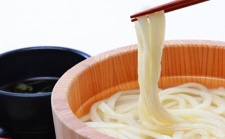 さぬきまるふじ　生うどん　9人前　ざる・醤油