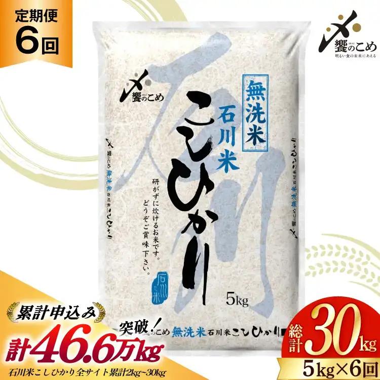 【6回定期便】 無洗米 石川米 こしひかり 5kg 無洗