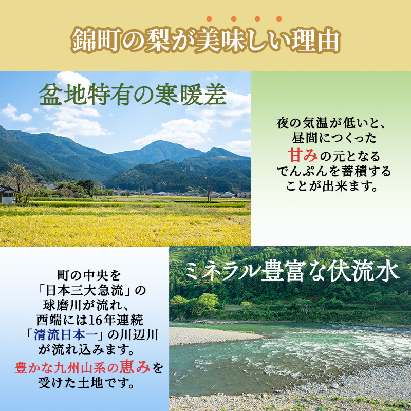 定期便 2回 先行予約 梨 清流錦 豊水 あきづき 新高 かおり 8
