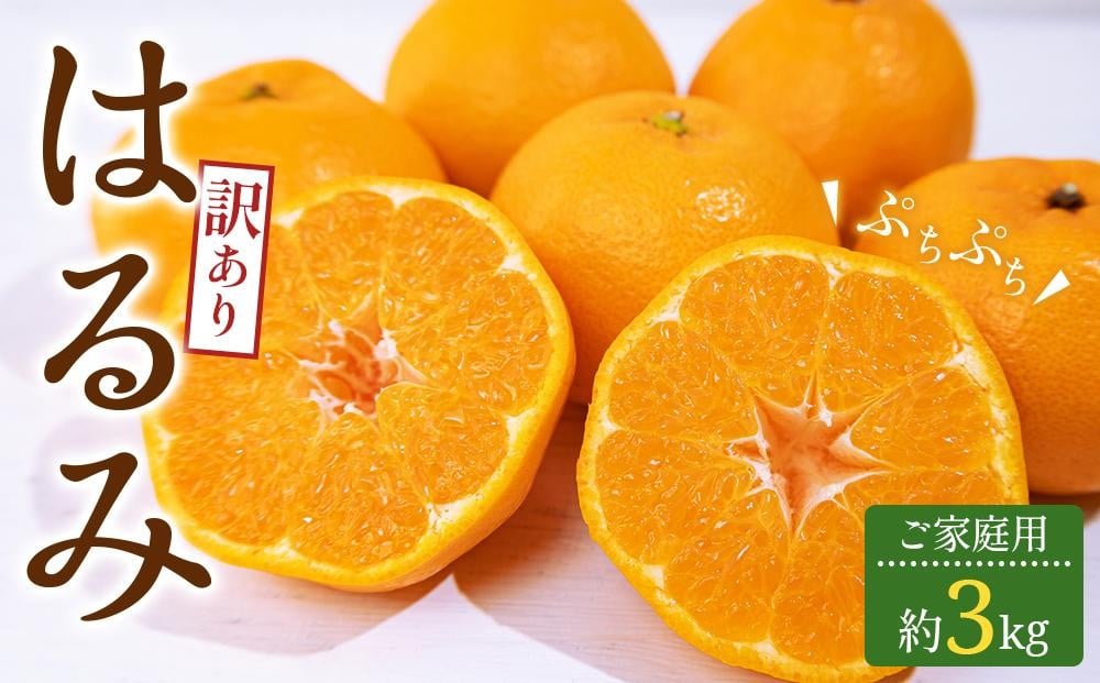 
            訳あり ご家庭用 はるみ 約3kg【2026-2月上旬～2026-3月下旬配送】
          