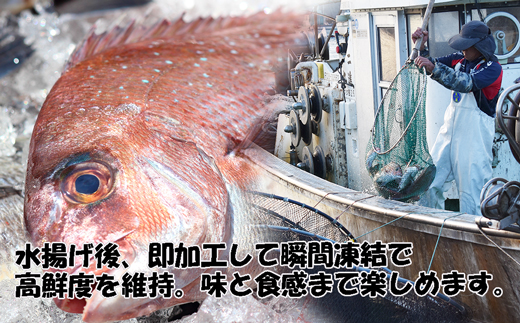 玄界灘産 天然真鯛漬け丼の素8人前（70g×8P）★1人前ずつ個包装[G0163]