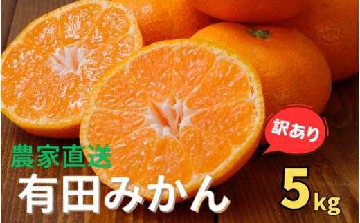 【訳あり】農家直送  有田みかん 約5kg ご家庭用 サイズ混合 ※2025年11月中旬から2026年1月中旬までに順次発送予定（お届け日指定不可）※北海道・沖縄・離島配送不可 サイズ混合 訳あり 温州みかん  柑橘 有田 【nuk161B】