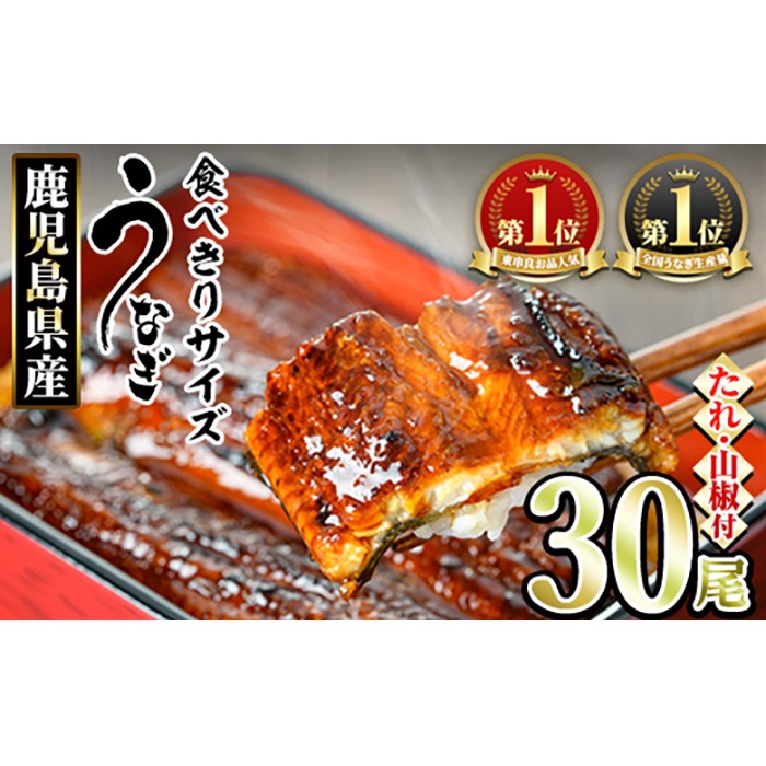 【1084329a】＜食べきりサイズ！＞東串良町のうなぎ蒲焼(無頭)(30尾・計3000g・タレ、山椒付) うなぎ 高級 ウナギ 鰻 国産 蒲焼 蒲焼き たれ 鹿児島 ふるさと 人気 【アクアおおすみ】