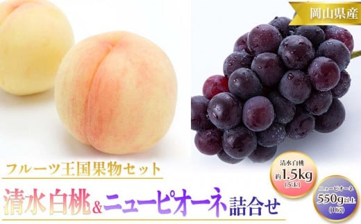 桃 ぶどう 2025年 先行予約 清水 白桃 5玉 約1.5kg 1玉約300g ニュー ピオーネ 1房 550g以上もも 葡萄 詰合せ 岡山 国産 フルーツ 果物 ギフト 桃茂実苑