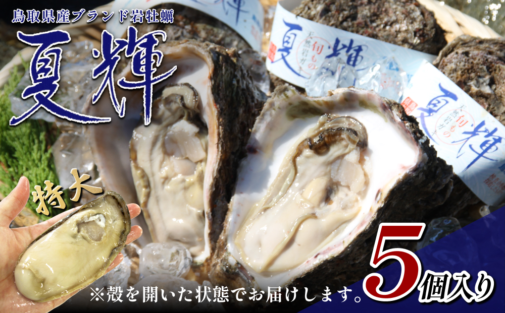 【21004】夏輝（岩ガキ）