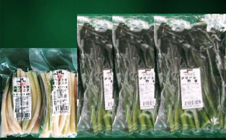 【ハーブとして最適】行者にんにく3袋（葉部・茎部）グリーン行者×2袋 ホワイト行者×1袋 | オンライン 申請 ふるさと納税 北海道 中標津 ハーブ 香草 行者ニンニク にんにくの芽 長期保存 山菜 