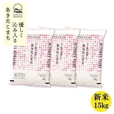 ふるさと納税 大潟村 秋田県産 予約受付開始!あきたこまち【令和7年産】無洗米15kg(5kg×3)《10月中旬より発送》