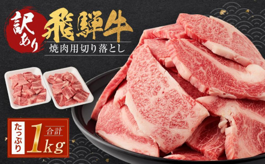 訳あり 飛騨牛焼肉用切り落とし たっぷり1kg （不揃い・大容量）| 飛騨牛 肉 おいしい 飛騨高山 切り落とし 小分け BBQ 正月 肉の匠家 BV027VC13