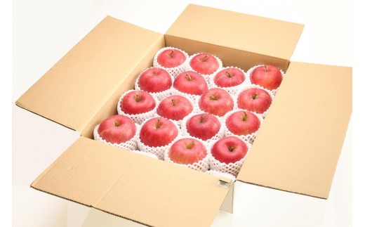 【2026年発送】太陽燦々☆サンふじりんご　約5kg（13～20玉）秀