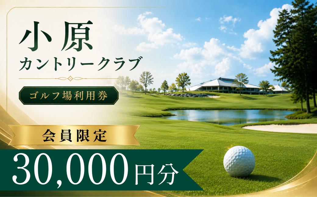 
                  【会員限定】小原カントリークラブ ゴルフ場利用券10枚(30000円分) | 小原カントリー クラブ 小原カントリークラブ ゴルフ場 ゴルフ利用券 共通利用券 ゴルフ場の利用券 ゴルフ プレー券 ゴルフチケット ゴルフプレー ラウンド 利用券 チケット スポーツ レジャー ごるふ golf 愛知県 豊田市　
                