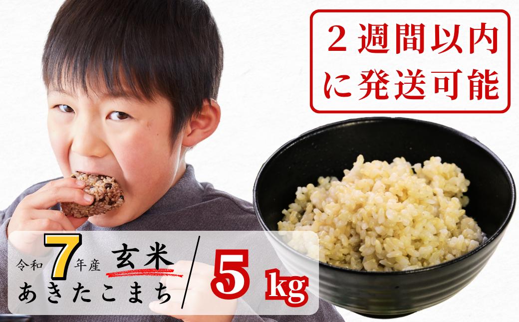《令和7年産２週間以内に発送可能》玄米 5kg 令和7年産 あきたこまち 岡山 あわくら源流米 K-bb-AEFA