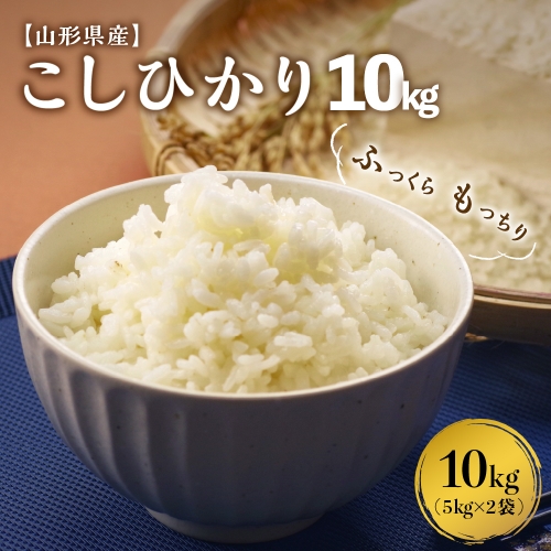 【令和5年産米】※選べる配送時期※ こしひかり10kg（5kg×2袋）山形県産【米COMEかほく協同組合】