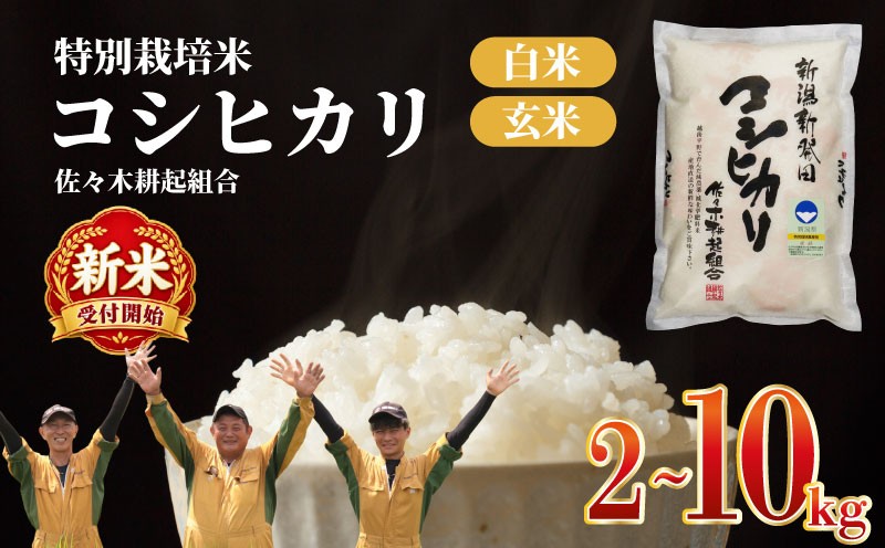 
                  【R8年産新米】米 コシヒカリ 特別栽培米 2kg 4kg 6kg 10kg 令和8年産 8年産 新米 新潟県産 お米 白米 ご飯 精米 玄米 おにぎり 弁当 個包装 小分け プレゼント ギフト 贈答 のし 佐々木耕起 佐々木こうき 佐々木耕起組合 新潟県 新発田市 ssk001P
                