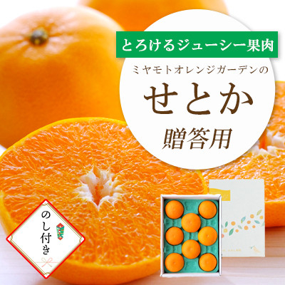 
            ＜2026年2月以降発送＞とろける濃厚柑橘 せとか のし付き ギフトボックス入り＜D25-168＞【1536588】
          