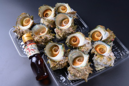 【つぼ焼き／ボイル 天然サザエ（中）】BBQ・つぼ焼きに最適！ 天然サザエ ボイル済み 1.6K 中サイズ（16～21個） ※万能ダシ付き ＜サザエのつぼ焼き・海鮮BBQ・サザエの煮つけ・サザエご飯に