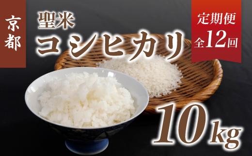 《12回 毎月お届け》【定期便】京都府産コシヒカリ「聖米」白米10kg 【 お米 米 白米 精米 こしひかり 国産 選べる 定期便 毎月発送 京都 綾部 】