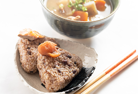 「古代三色発酵玄米」レトルト【2食入パック+4食入パック】
