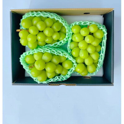 【ふるさと納税】【発送月固定定期便】★2026年度　先行予約シャインマスカット2.0kg 3-4房全2回【配送不可地域：離島・沖縄県】【4069967】