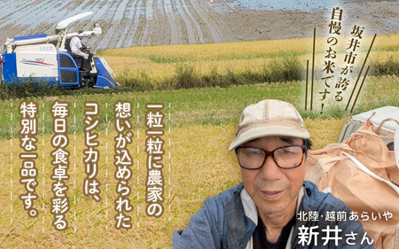 定期便 ≪3ヶ月連続お届け≫ 令和8年産 坂井市産 コシヒカリ 10kg (5kg×2袋) ×3回 (計30kg) 【玄米】米 コメ お米 福井こしひかり [E-10204_02]