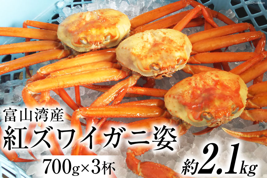 富山湾産 紅 ズワイガニ 姿 約700g×3杯 かに カニ 蟹 / 寺田鮮魚店 / 富山県 朝日町 [34310231]