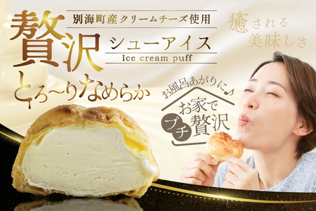 北海道 別海町 【12か月定期便】 BETSUKAI 濃厚 シューアイス 20個 セット【NSM120002】