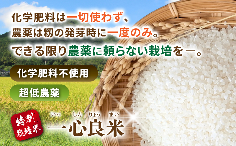 【令和8年産米】 真庭市産コシヒカリ 米ぬか 牡蠣殻栽培  一心良米 無洗米 5kg / お米 岡山県 こしひかり 人気 ブランド 2026年産 【tkns011-02】
