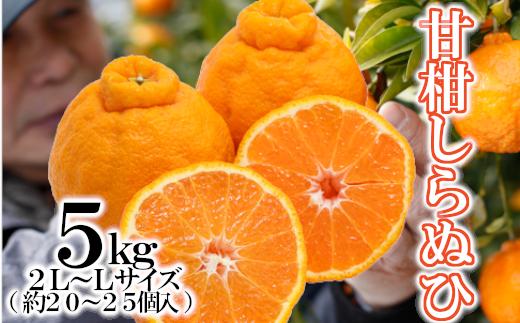 「甘柑しらぬひ」5kg サイズ2LまたはL/約20～25個＜C79-25＞【1474165】