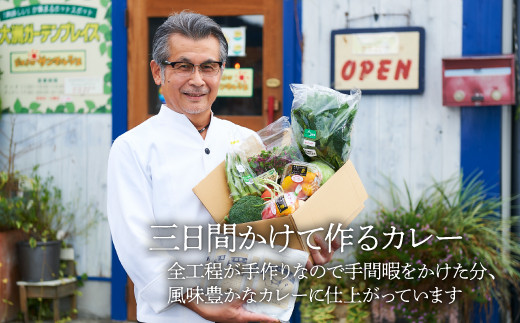 【全12回定期便】シェフ激選！栽培期間中農薬不使用！旬の野菜と、こだわりの手作りカレーセット