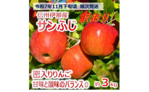 【009-47】信州のサンふじ　訳あり　3キロ！（りんご・リンゴ・林檎）